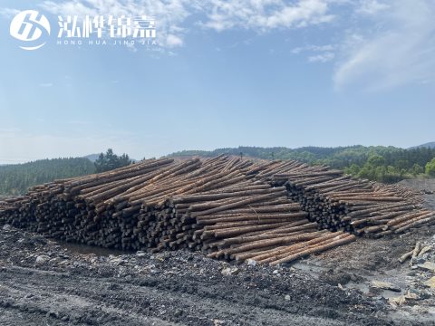 河道打樁為什么選擇松木樁來處理軟地基？-松木樁施工使用范圍