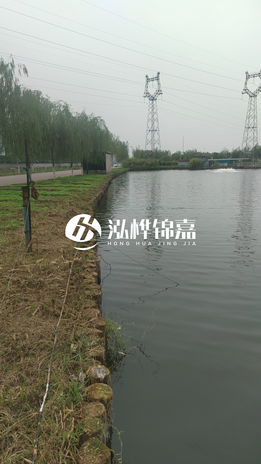臺(tái)州挖機(jī)打木樁專業(yè)施工-松木樁打樁木的密度對打樁效果有影響嗎？