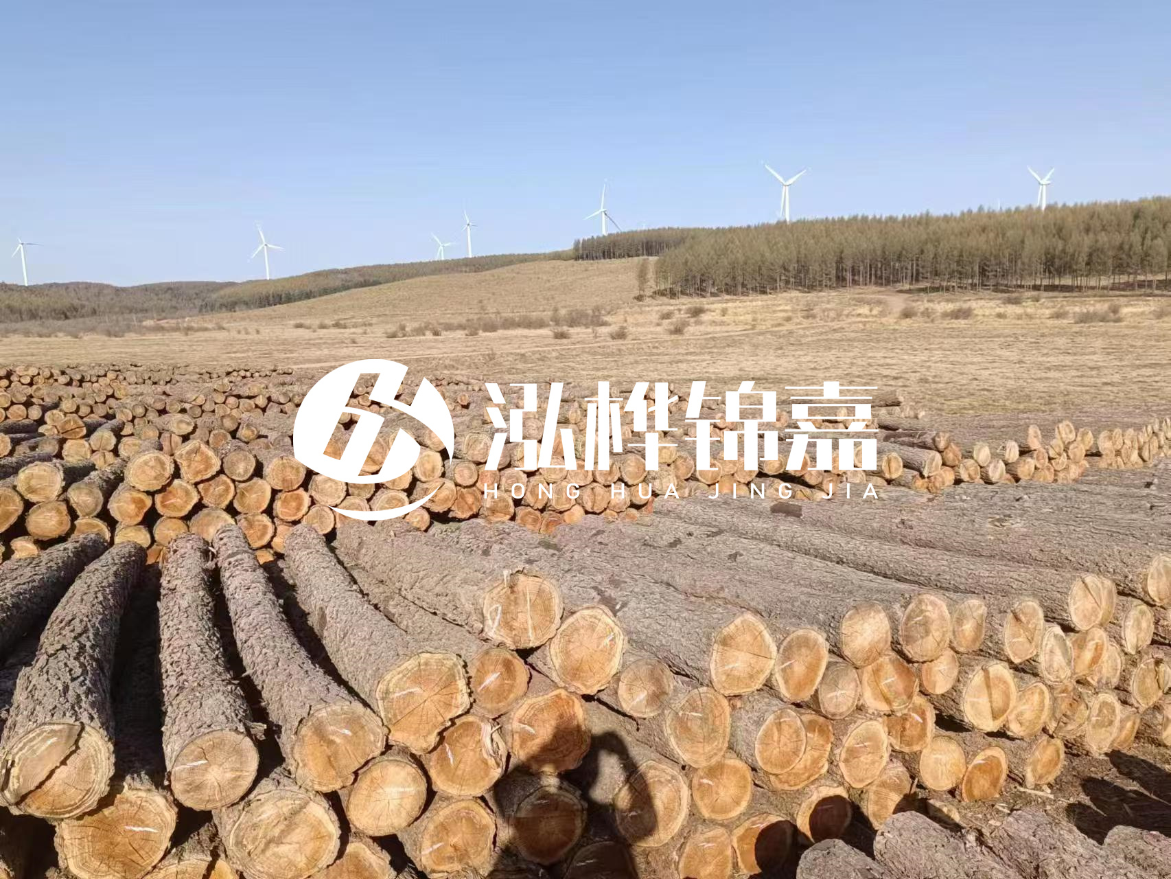 咸寧松木樁源頭廠家-哪里能買到質(zhì)量好的松木樁打樁木？