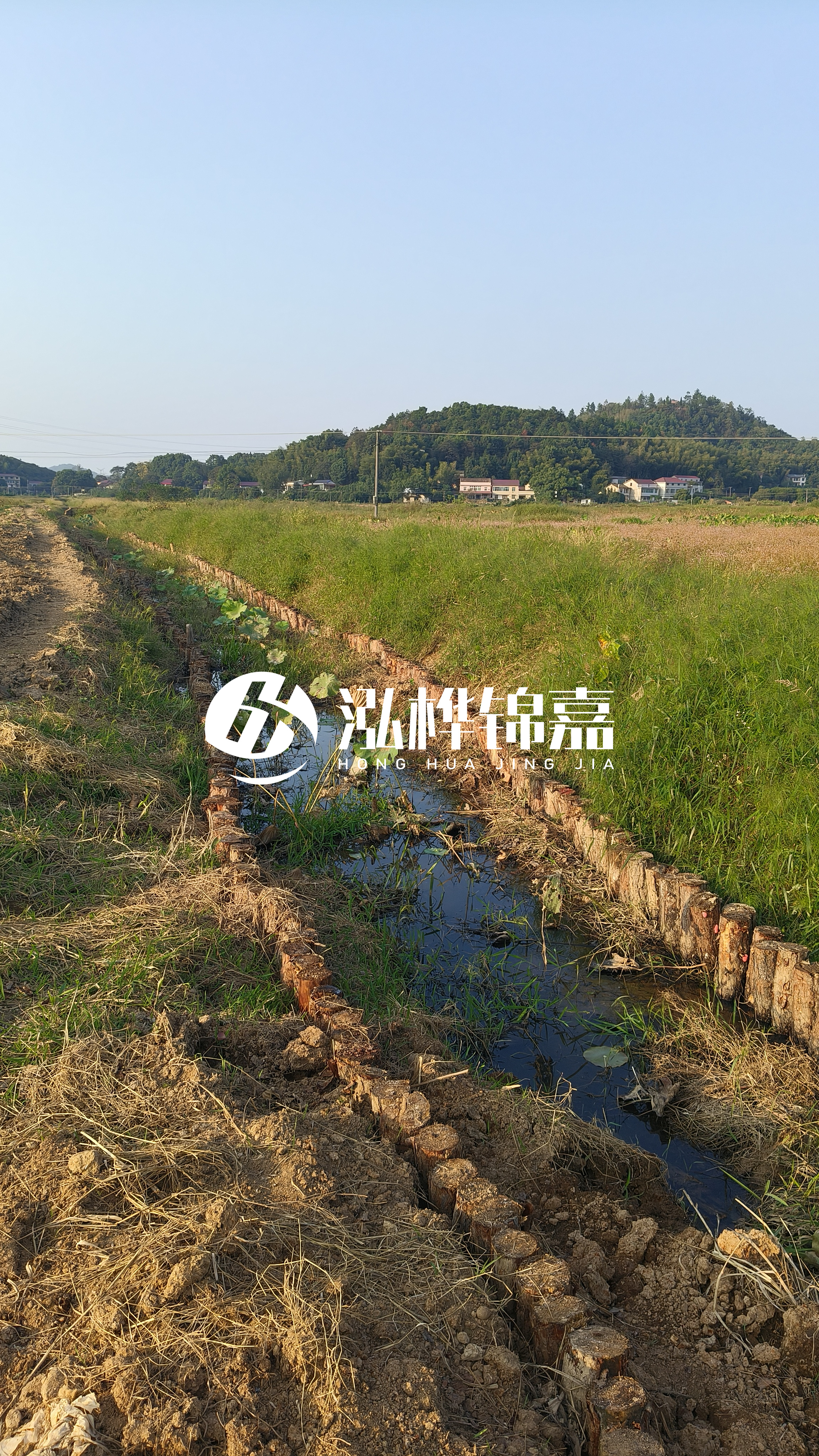 河道護(hù)坡打木樁的目的全解析：你知道幾個(gè)？