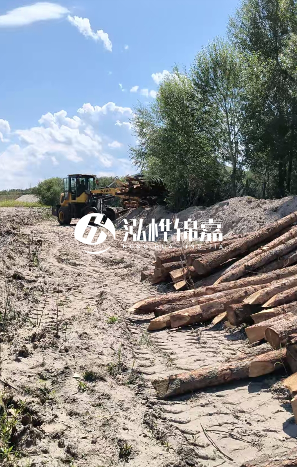 松木樁處理技術(shù)要求是什么-松木樁處理地基間距多少合適呢？