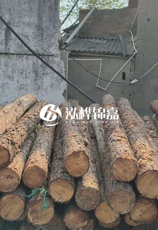 1.5米至2米長(zhǎng)松木樁價(jià)格表-10-12公分大概多少錢(qián)一根？