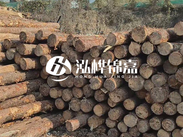 落葉松木材的主要產(chǎn)地在哪里？為什么比其他松木更耐腐蝕？