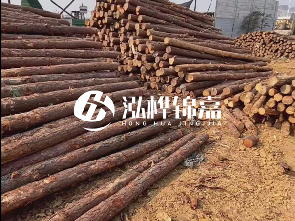 河道木樁施工遇到淤泥怎么辦？打多深才能防沖刷？
