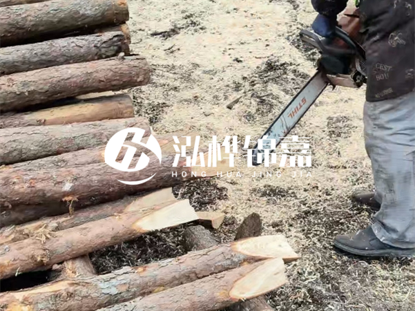 杉木樁批發(fā)廠家哪家好？產(chǎn)地直供渠道推薦！