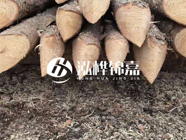 打樁木樁與鋼樁相比有哪些優(yōu)缺點(diǎn)？如何進(jìn)行后期維護(hù)？