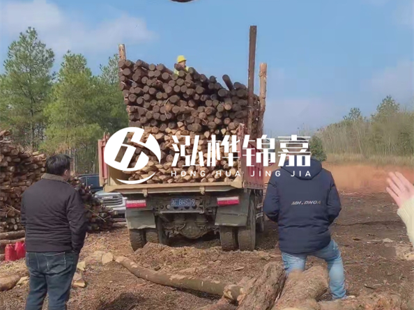松木樁價(jià)格是按米算還是按根算？6米松木樁批發(fā)價(jià)每根多少錢？