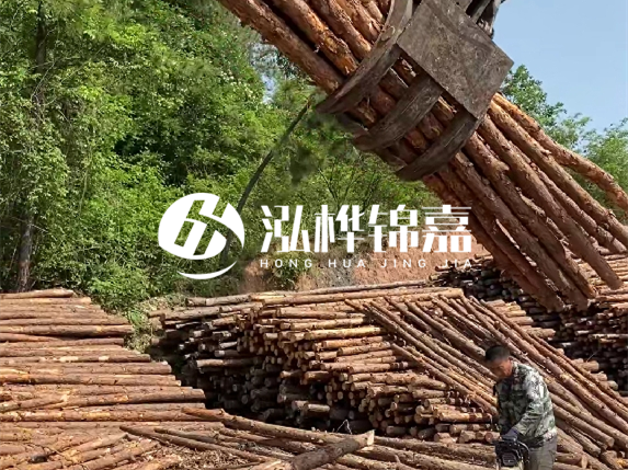 哪里能買到優(yōu)質(zhì) 3 米松木樁？長沙有松木樁批發(fā)工廠嗎？