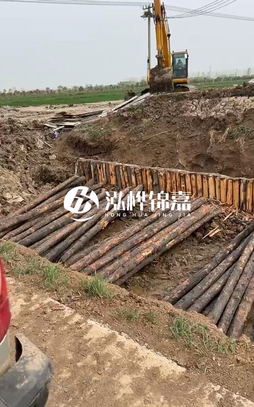 4米直徑12-13油松批發(fā)價最低多少？報價含稅含運嗎？